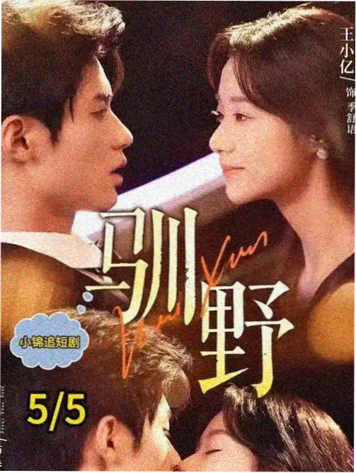奇奇影视剧集长线叙事专题海报